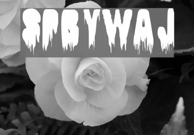 SpBywaj Fonte examples
