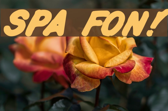 Spa Fon! Font examples