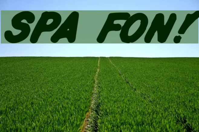 Spa Fon! Example 2
