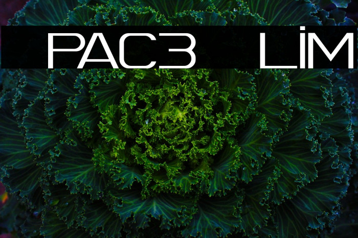 Spac3 Slim Font examples