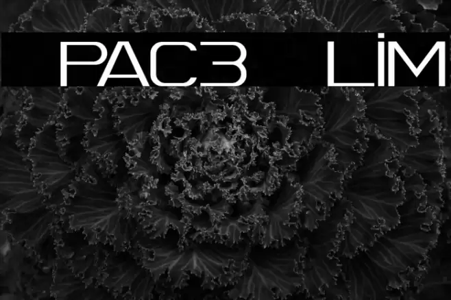 Spac3 Slim Polices examples