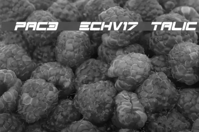 Spac3-Techv17-Italic Font examples
