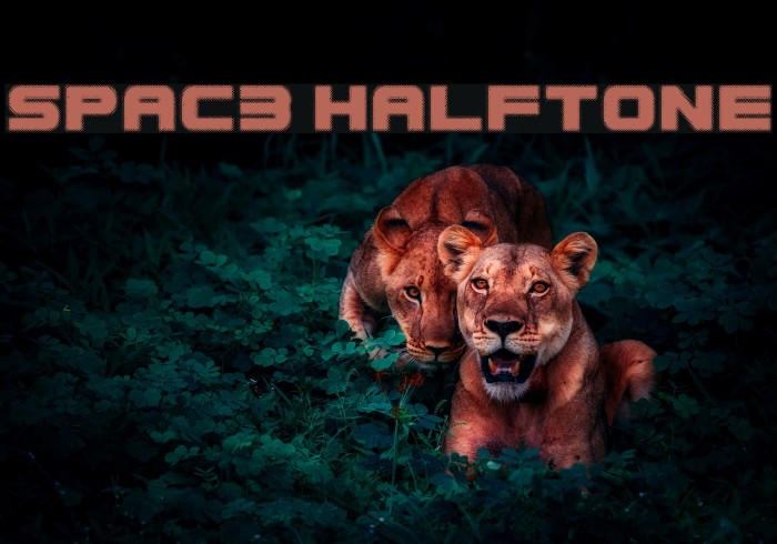 Spac3 halftone Font examples