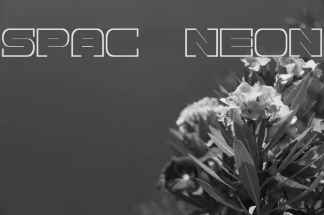 Spac3 neon Font examples