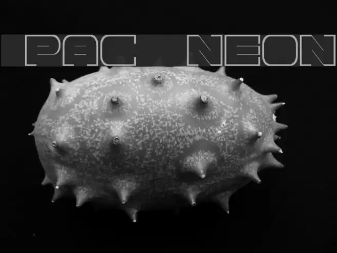 Spac3 neon フォント examples