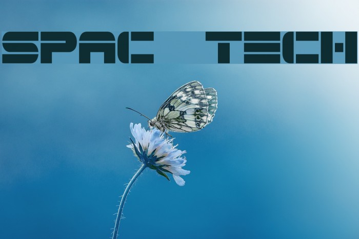 Spac3 tech Example 1