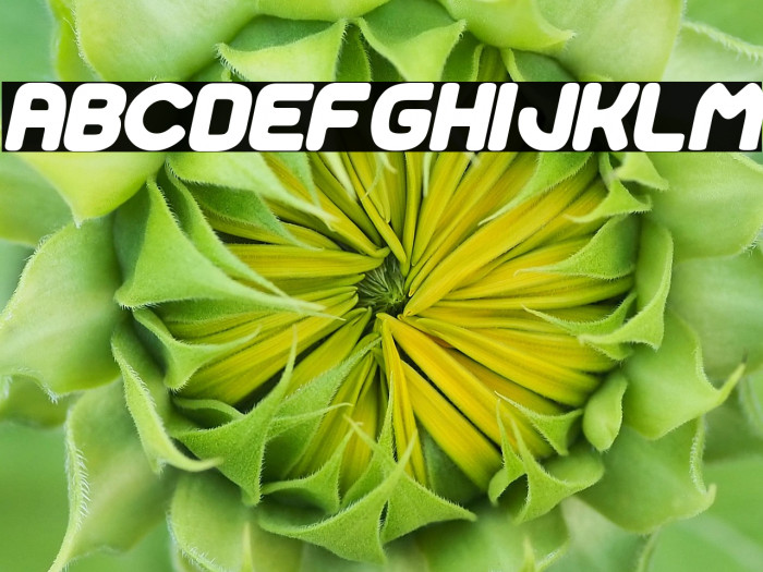 Space Adventure Italic Example 1