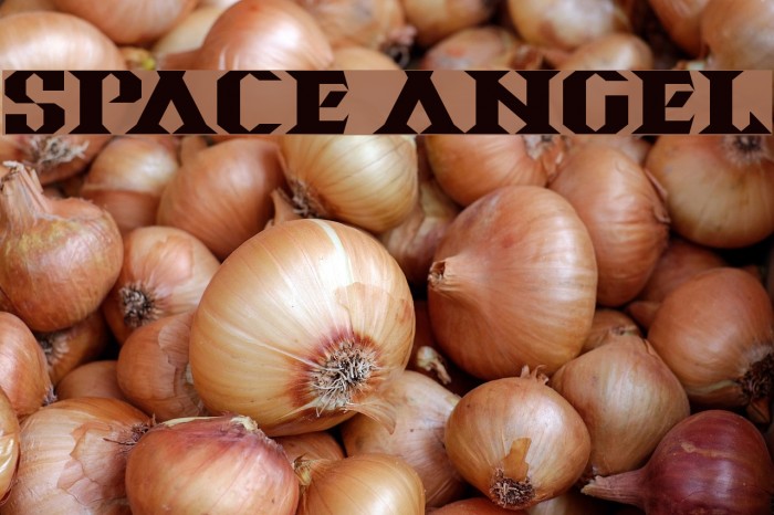 Space Angel Example 3