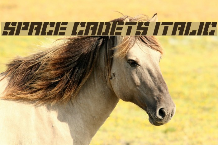 Space Cadets Italic Font examples