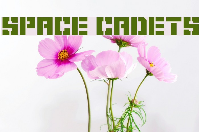 Space Cadets Fonte examples