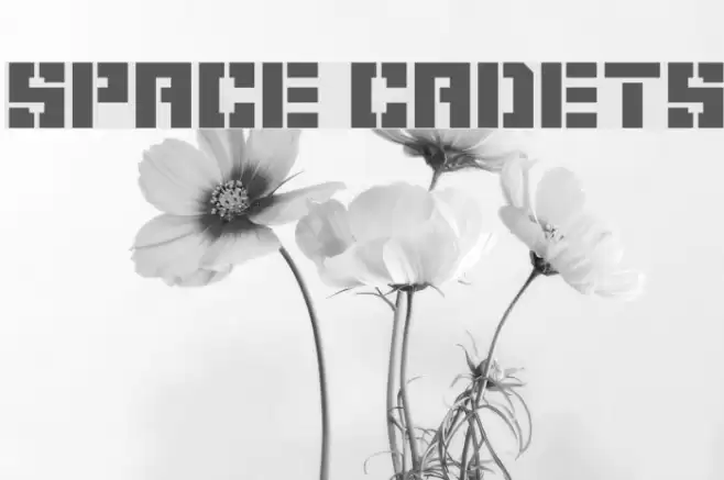 Space Cadets Font examples