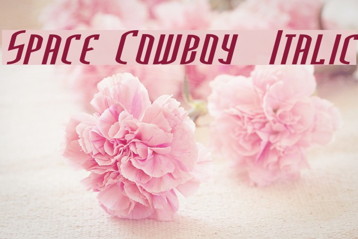 Space Cowboy Italic Font examples