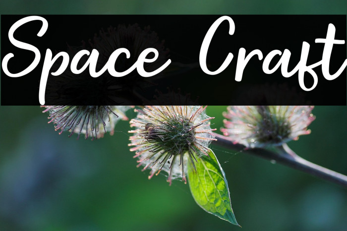 Space Craft Example 2