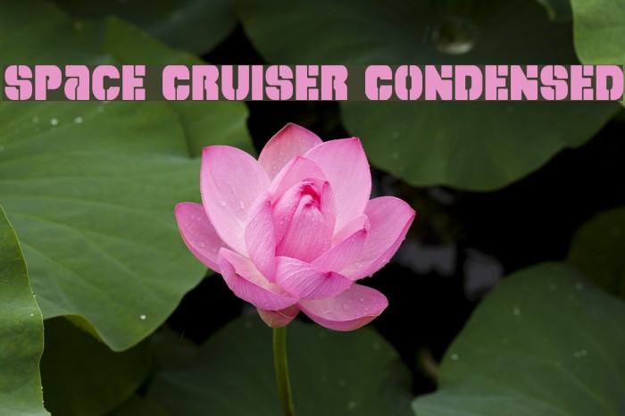 Space Cruiser Condensed Font examples