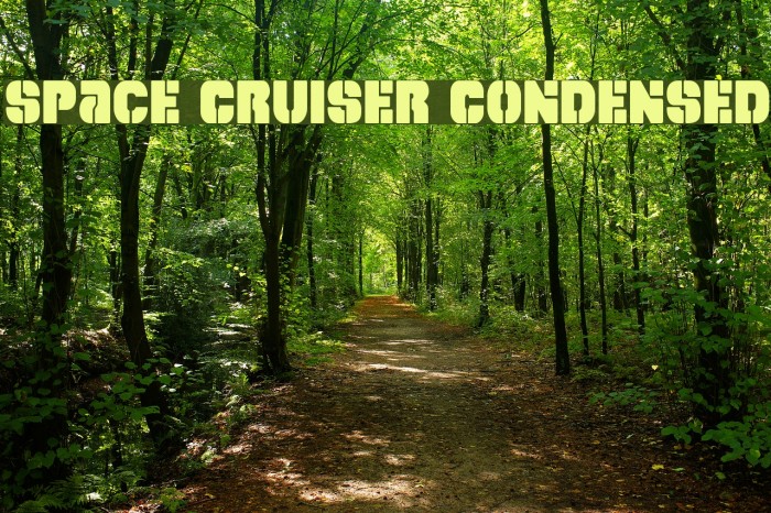 Space Cruiser Condensed Font examples