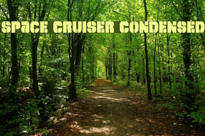 Space Cruiser Condensed Example 3