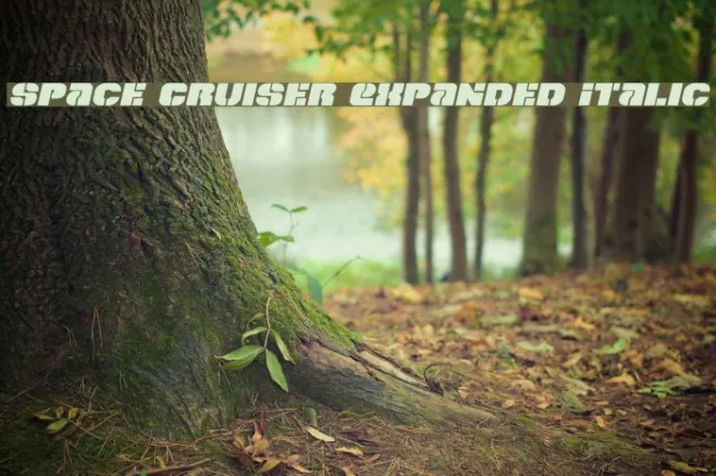 Space Cruiser Expanded Italic Example 2