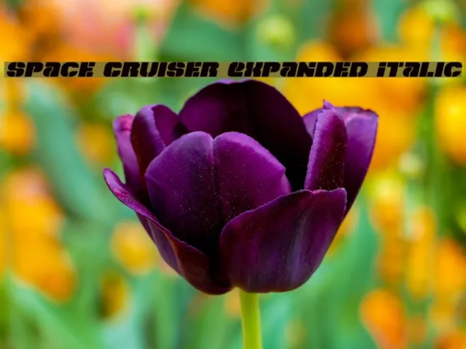 Space Cruiser Expanded Italic Example 3