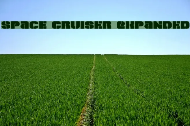 Space Cruiser Expanded Example 3