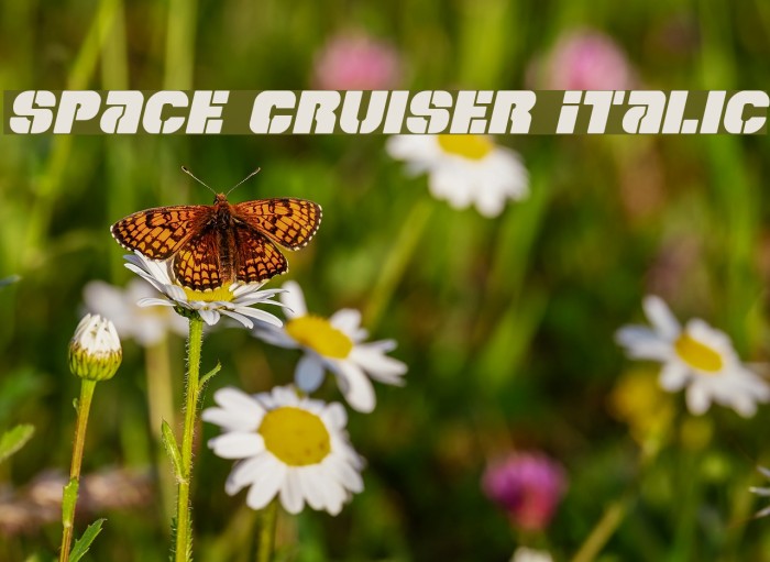 Space Cruiser Italic Polices examples