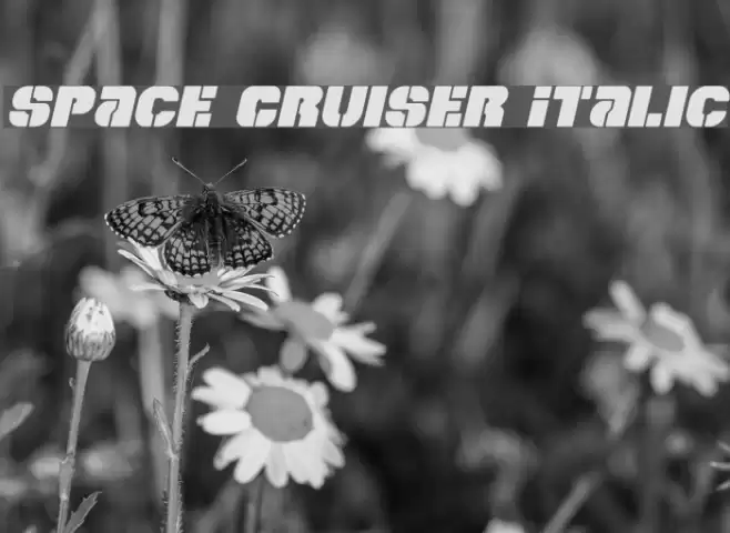 Space Cruiser Italic Polices examples