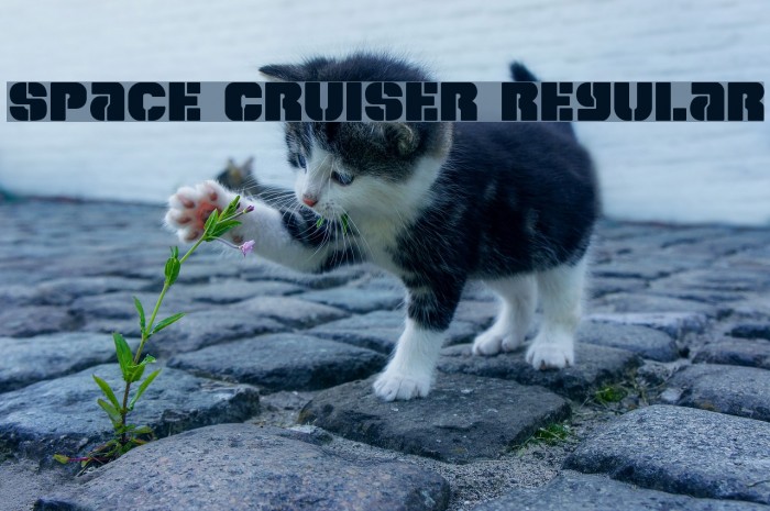 Space Cruiser Regular Font examples