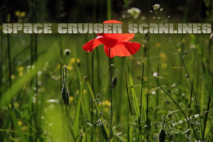 Space Cruiser Scanlines Font examples