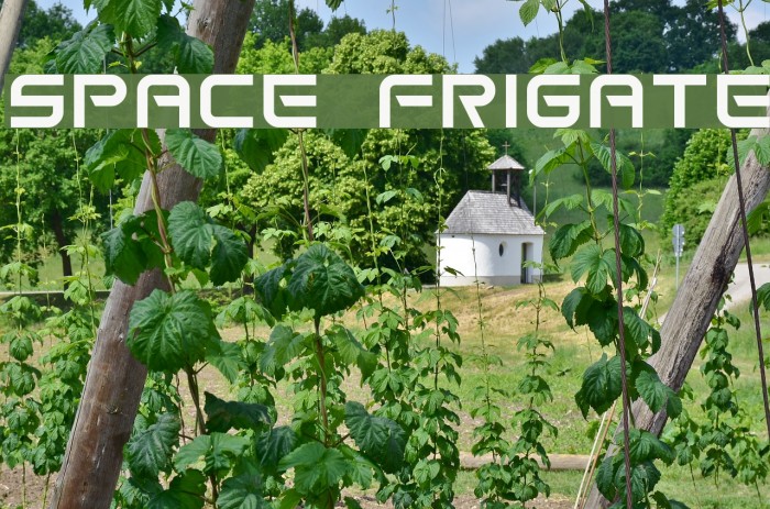 Space Frigate Font examples