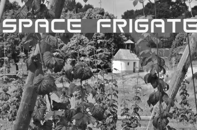 Space Frigate Fuentes examples