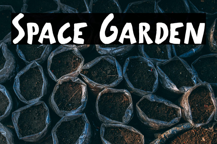 Space Garden Example 2