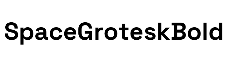 Space Grotesk Bold  Free Fonts Download