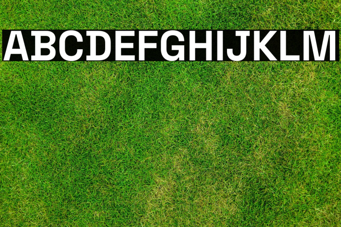 Space Grotesk Bold Example 1