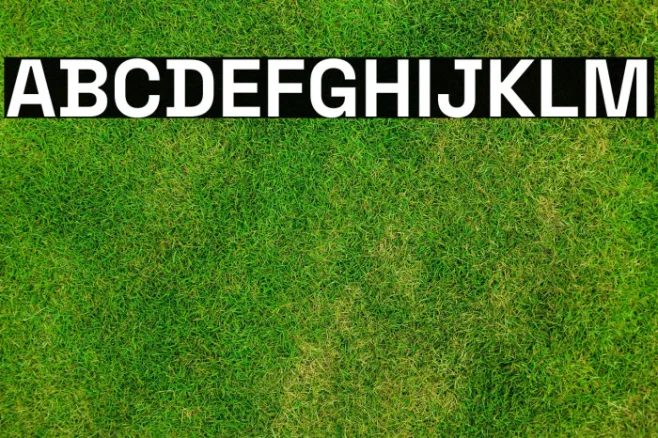Space Grotesk Bold Example 1