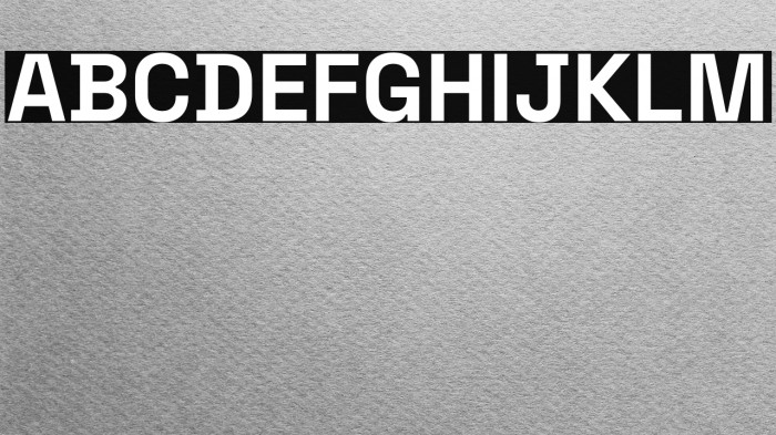 Space Grotesk Bold Example 3