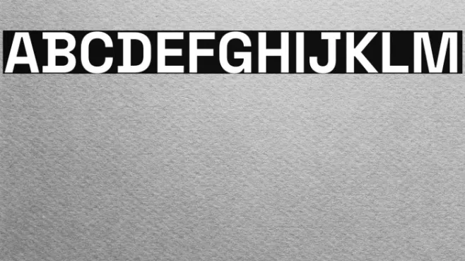 Space Grotesk Bold Example 3