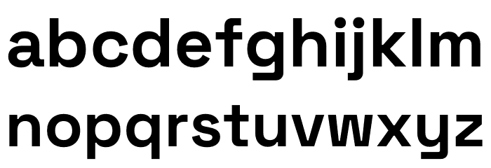 Space Grotesk Bold Font LOWERCASE