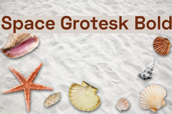 Space Grotesk Bold Font examples