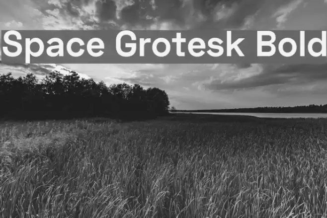 Space Grotesk Bold Font examples