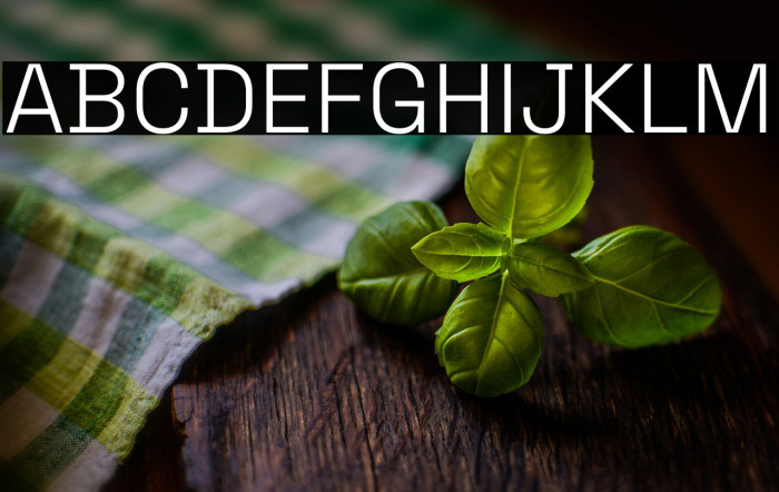 Space Grotesk Light Example 3