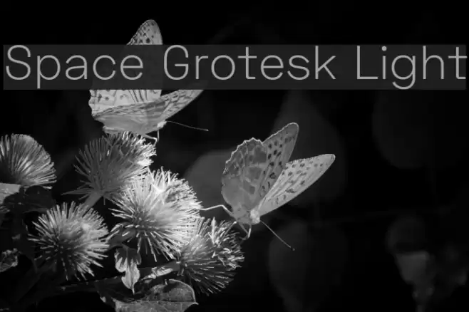 Space Grotesk Light Font examples
