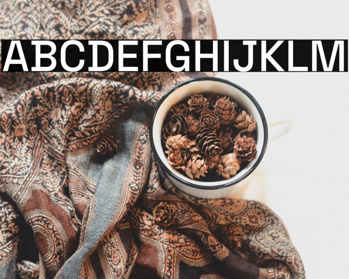 Space Grotesk Medium Example 2