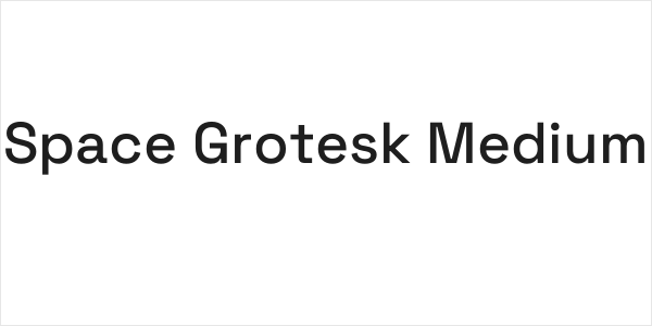 Space Grotesk Medium Logo