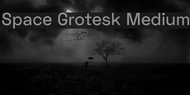 Space Grotesk Medium Font examples