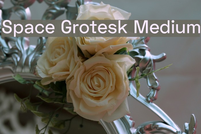 Space Grotesk Medium Font examples