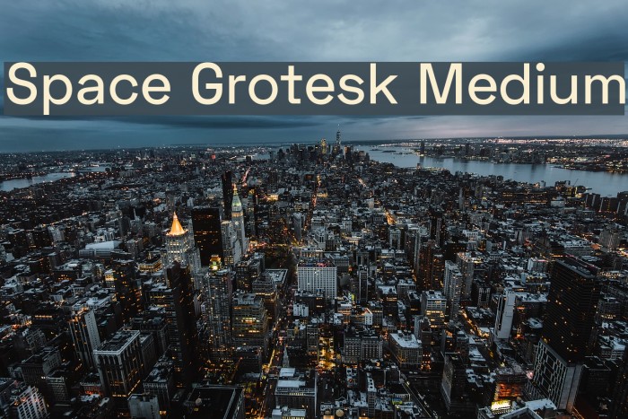 Space Grotesk Medium Font examples