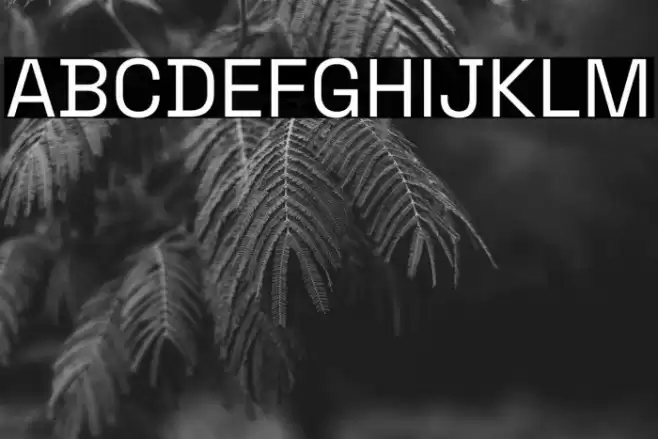 Space Grotesk Regular Font examples