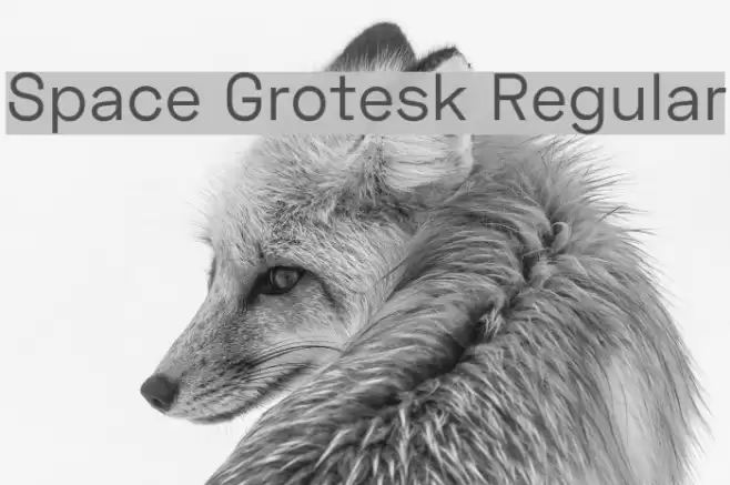 Space Grotesk Regular Font examples