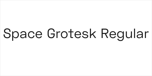 Space Grotesk Regular Logo