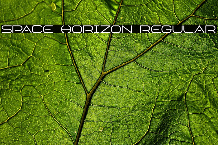 Space Horizon Regular Example 3