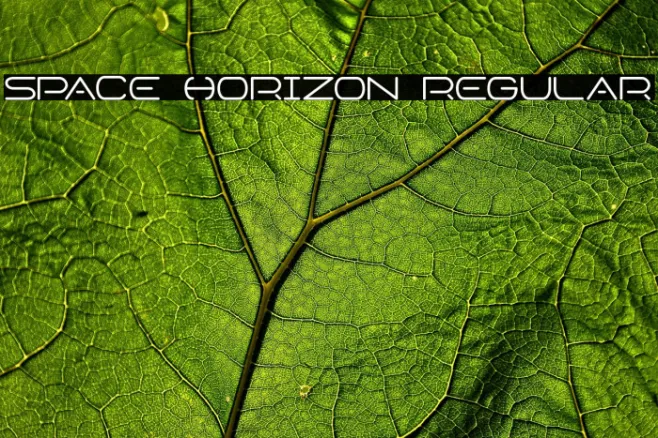 Space Horizon Regular Example 3